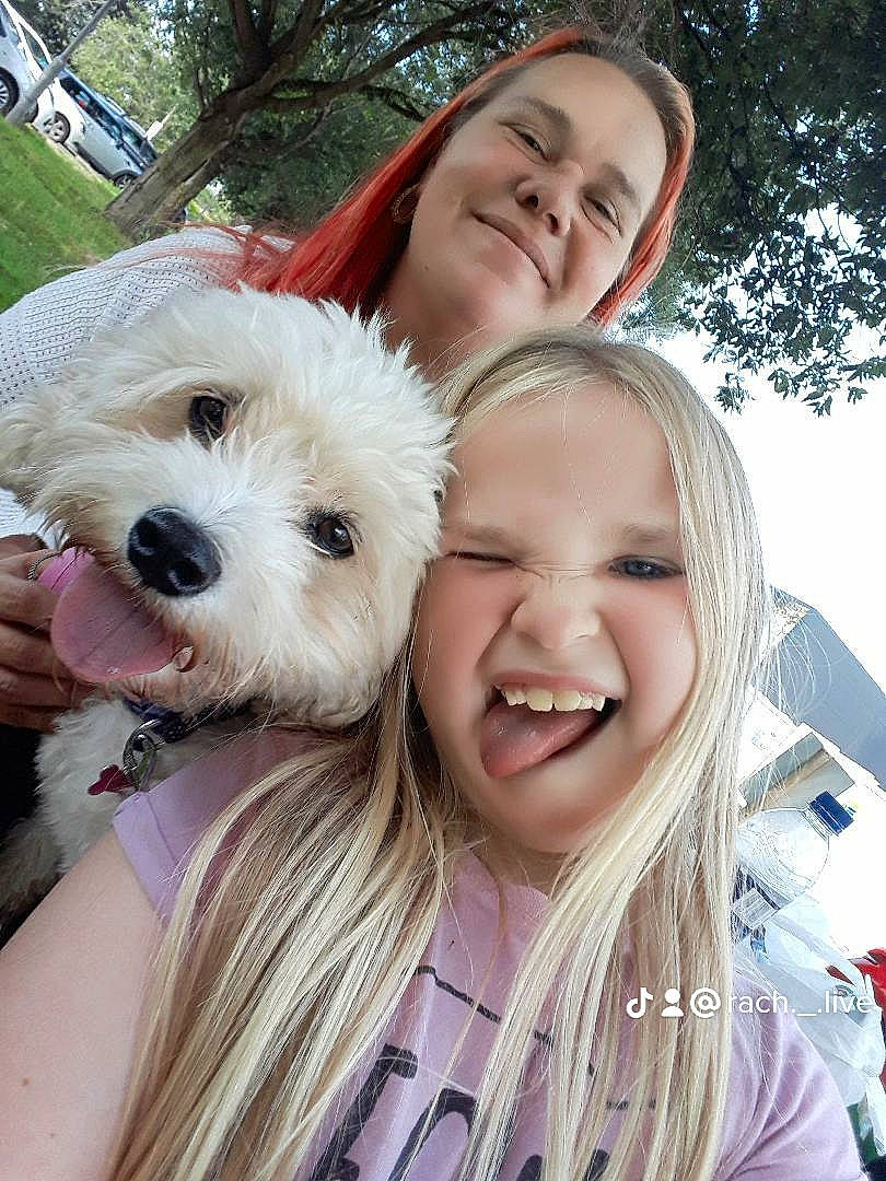 Dizzy is registered to the contest to win money with this photo: blond, carnivore, child, companion_dog, dog, dog_breed, event, eyewear, fun, gesture, grass, happy, leisure, recreation, selfie, smile, terrier, toddler, toy_dog, tree