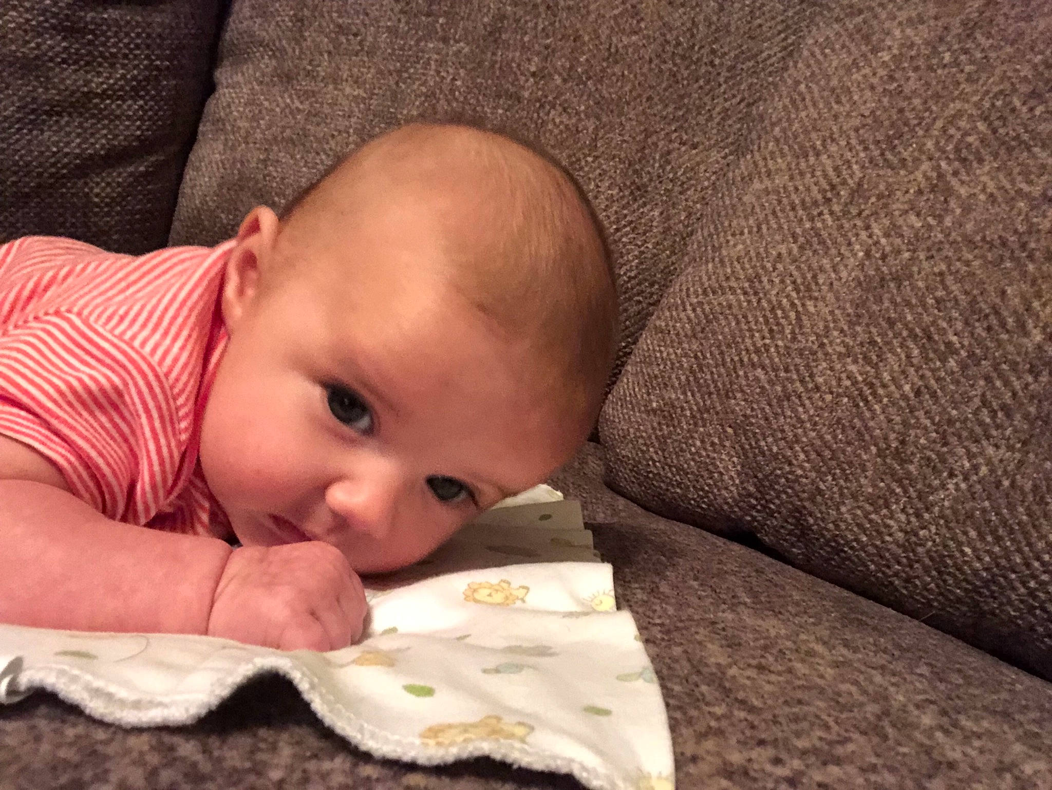 Jaelyn joined the competition — help win amazing prizes! baby, baby_sleeping, bedtime, cheek, child, comfort, ear, eye, face, finger, hand, head, joy, mouth, nap, nose, person, skin, toddler, tummy_time