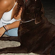 Mango participe au concours pour gagner de l'argent avec cette photo : person, dog, chocolate_labrador, bracelets, white_top, curly_hair, night, outdoor, concrete_ground, lying, sitting, pet, animal, casual, relaxing, friendship, companion, leash, chain_collar, paw