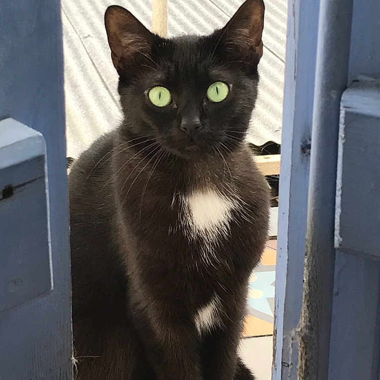 Minnie