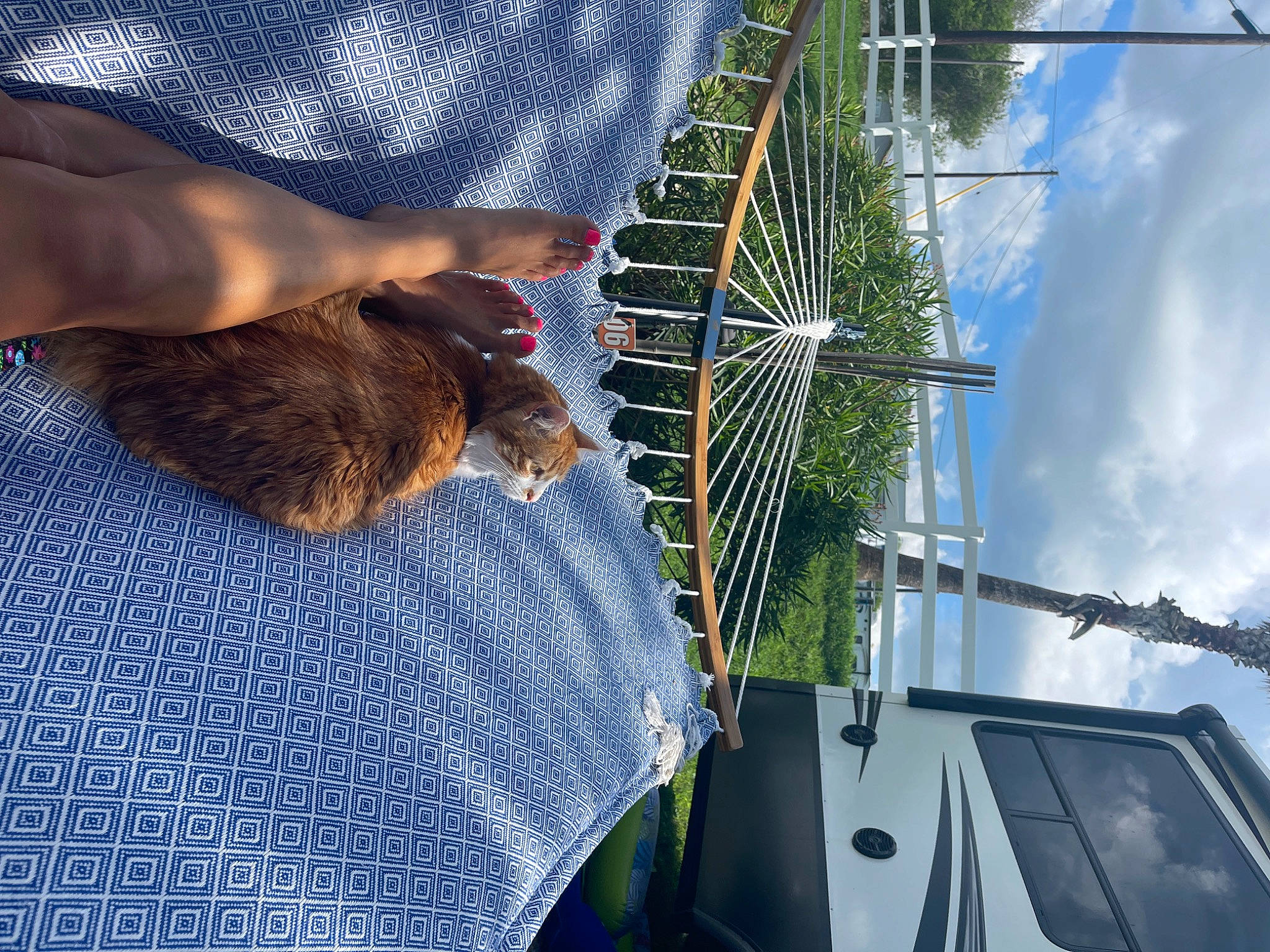 Indy joined the competition — help win amazing prizes! amusement_ride, automotive_wheel_system, bicycle_tire, bicycle_wheel, cloud, denim, engineering, ferris_wheel, foot, fun, grass, human_leg, leisure, nonbuilding_structure, pole, public_utility, recreation, sky, spoke, wheel