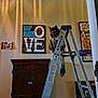 cat, ladder, indoor, wall_art, wooden_sign, furniture, cabinet, decor, pet, animal, curious, fluffy, perched, room, light, shadow, metal, stairs, home, portrait