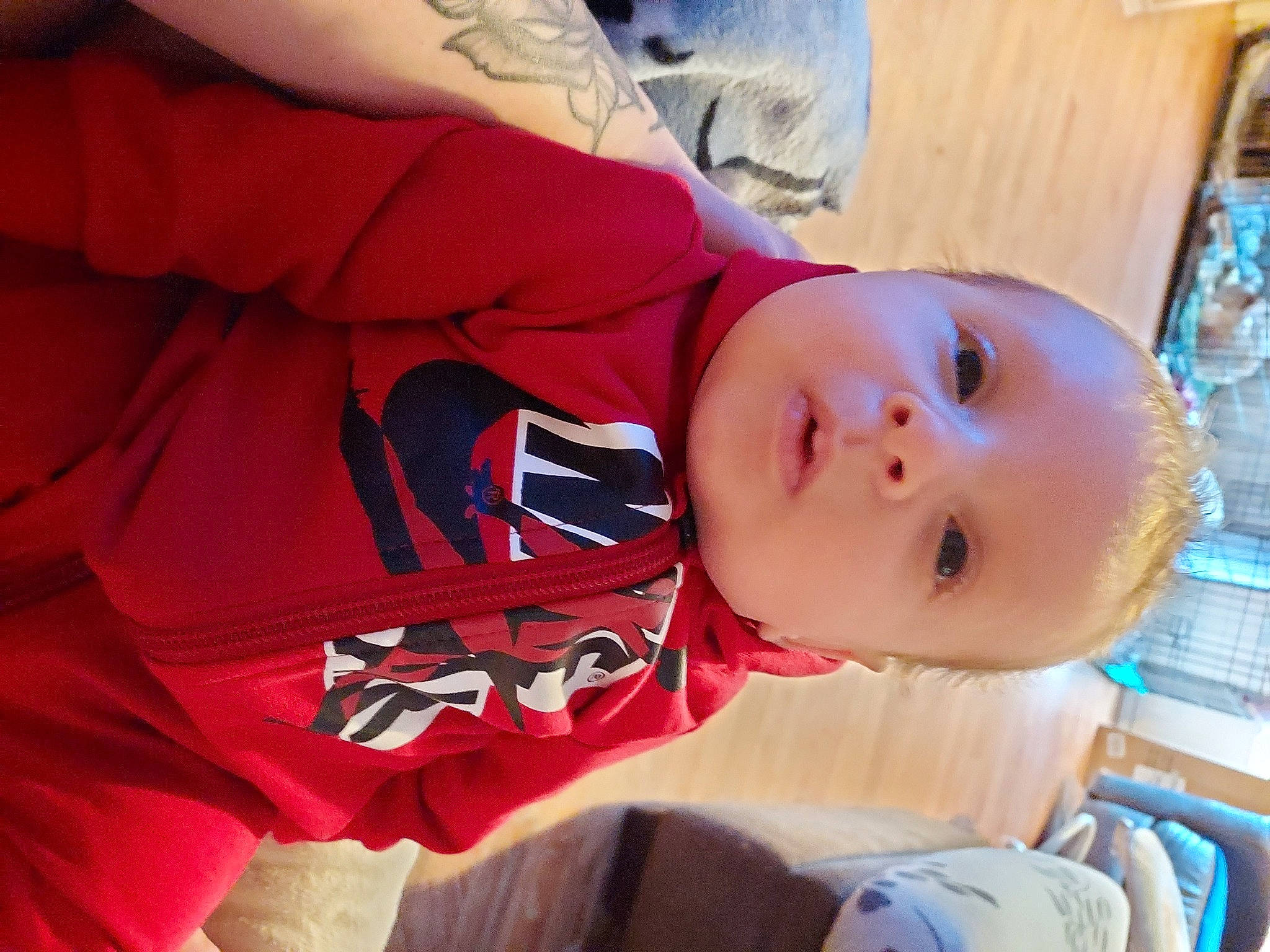 Wyatt is registered to the contest to win money with this photo: baby, baby_toddler_clothing, blue, carmine, cheek, child, comfort, elbow, fun, hat, lip, mouth, nose, orange, person, plant, skin, sleeve, toddler, tree