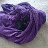 cat, black_cat, blanket, purple_blanket, carpet, indoor, pet, animal, cozy, hiding, fur, cute, soft, resting, folded_blanket, home, comfort, small, eyes, nest