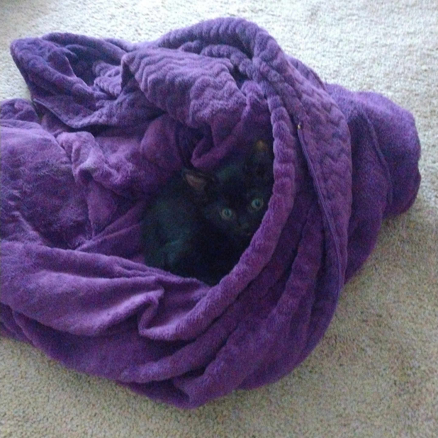 Binx