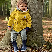 Raphaël a rejoint le concours — aidez-le/la à gagner de superbes lots ! toddler, child, yellow_raincoat, boots, tree, forest, autumn, leaves, outdoor, nature, portrait, fall, clothing, casual, young_child, curious, smiling, standing, ground, daylight
