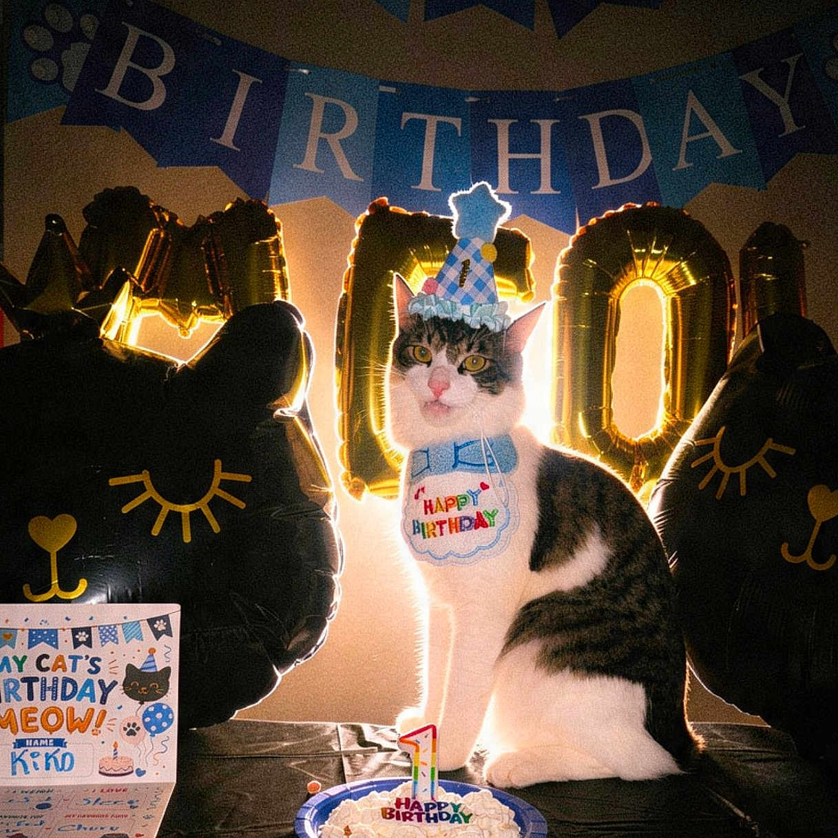 Kiko Blanco joined the competition — help win amazing prizes! cat, birthday, party, balloons, cake, hat, bib, table, celebration, number_one, happy_birthday_banner, festive, pet, indoor, decorations, cute, animal, food, black_tablecloth, card