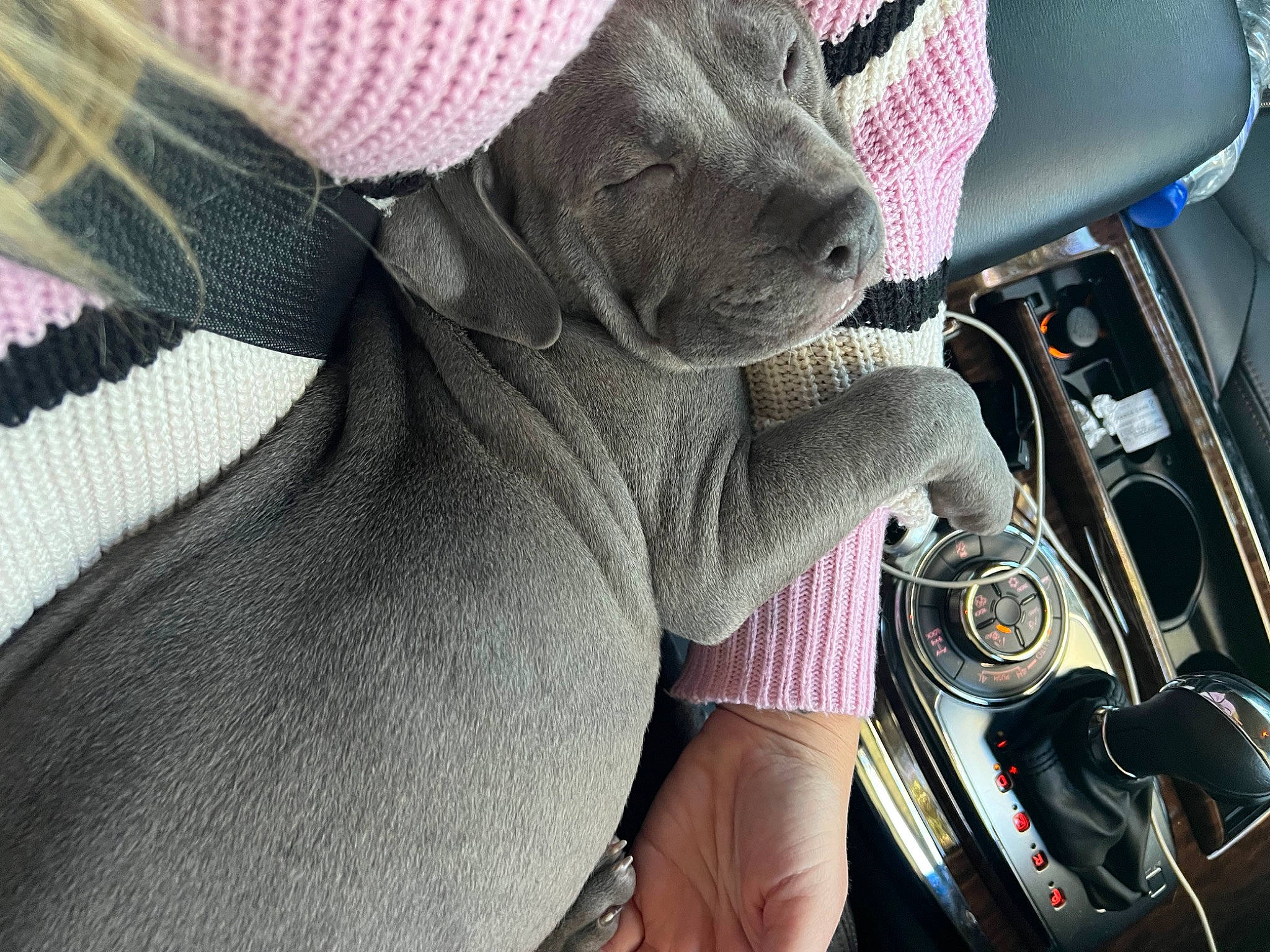 Boston joined the competition — help win amazing prizes! auto_part, automotive_design, automotive_exterior, automotive_lighting, automotive_mirror, automotive_wheel_system, car, car_seat, fawn, hat, motor_vehicle, personal_luxury_car, pink, rear_view_mirror, steering_part, steering_wheel, sunglasses, vehicle, vehicle_door, windshield