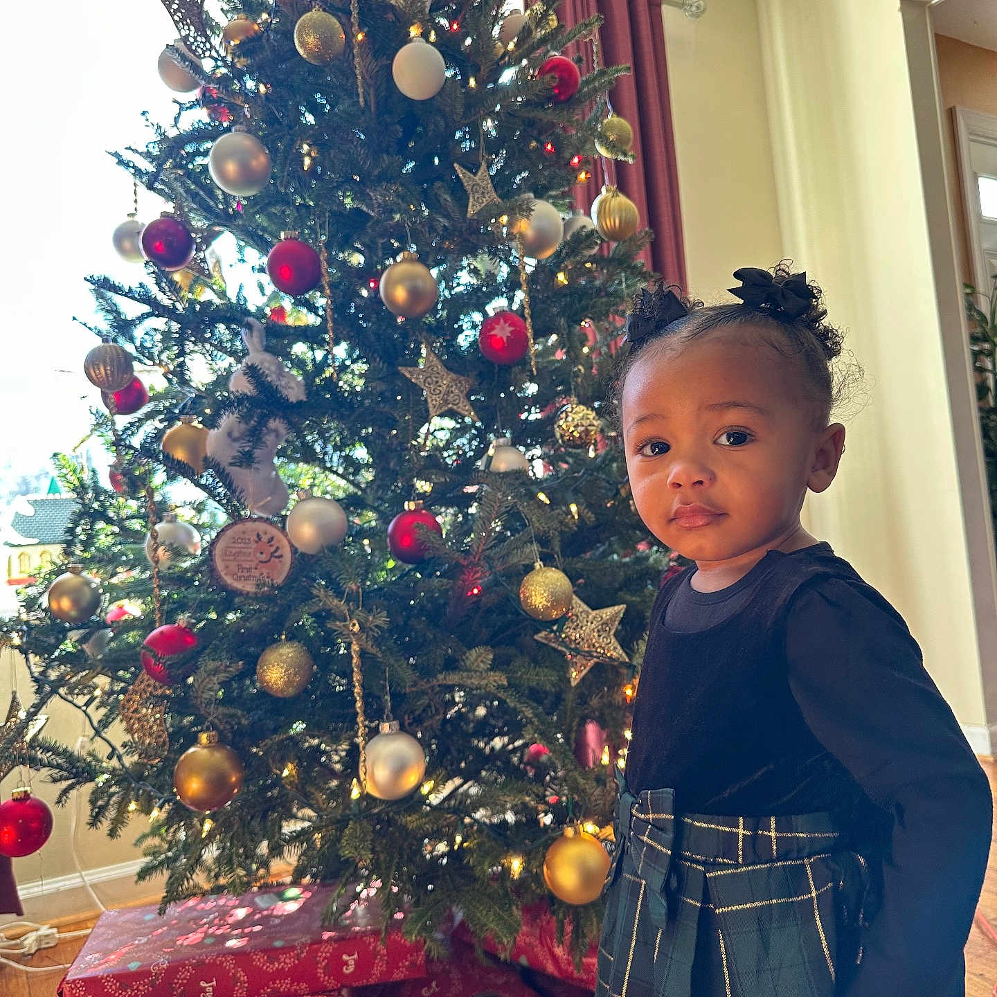 Harloh is registered to the contest to win money with this photo: accessories, child, christmas, christmasdecorations, christmastree, christmastreeornaments, clothing, conifer, face, female, festival, girl, head, lighting, person, photography, plant, portrait, pottedplant, tree
