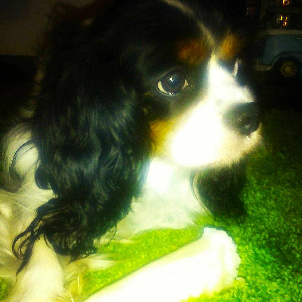Holly is registered to the contest to win money with this photo: