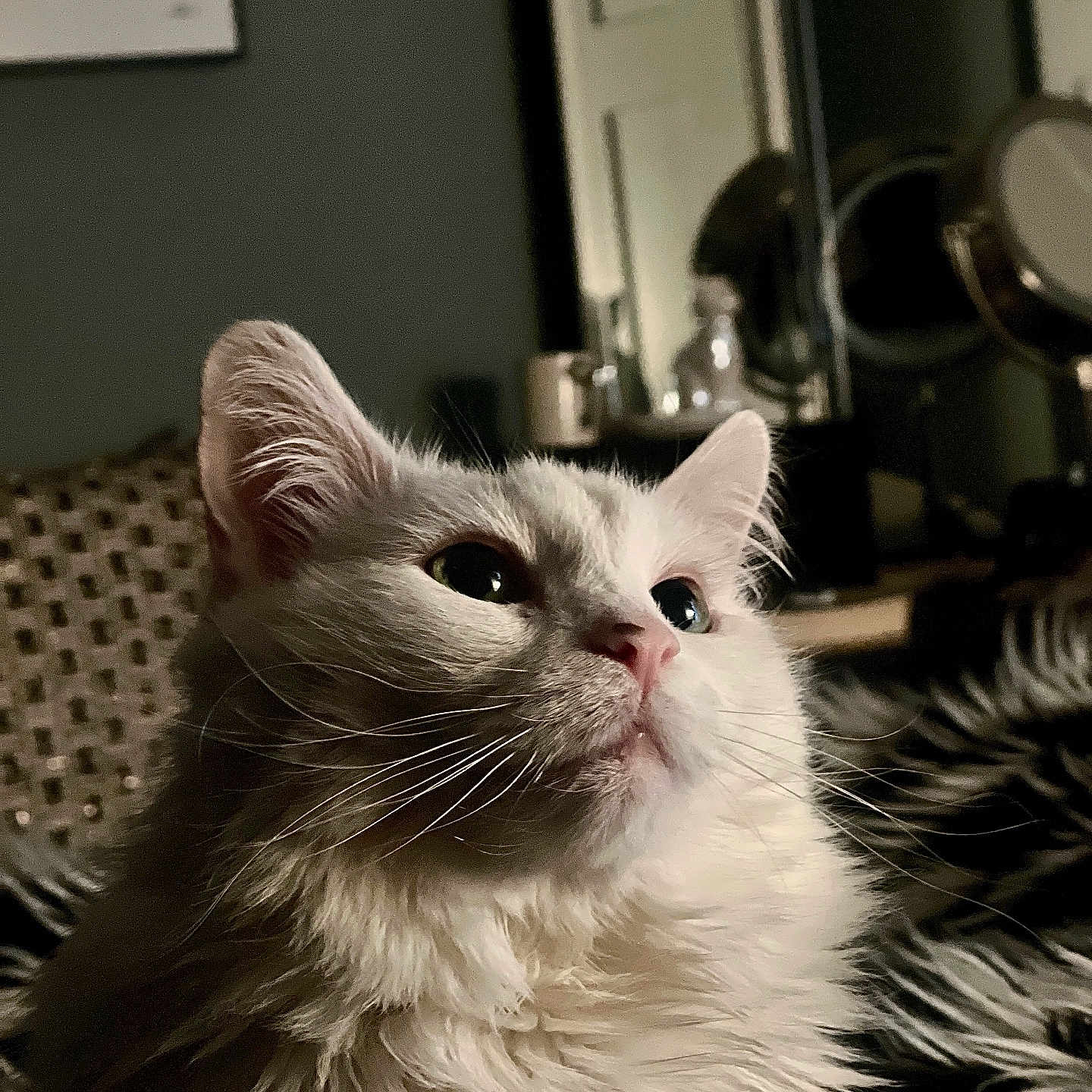 Winnie