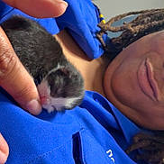 Zen Yang joined the competition — help win amazing prizes! person, kitten, cat, sleeping, blue_shirt, hand, fingers, indoor, close_up, cute, tiny, black_and_white, pet, affection, cozy, gentle, dreadlocks, button, pocket, face_partial