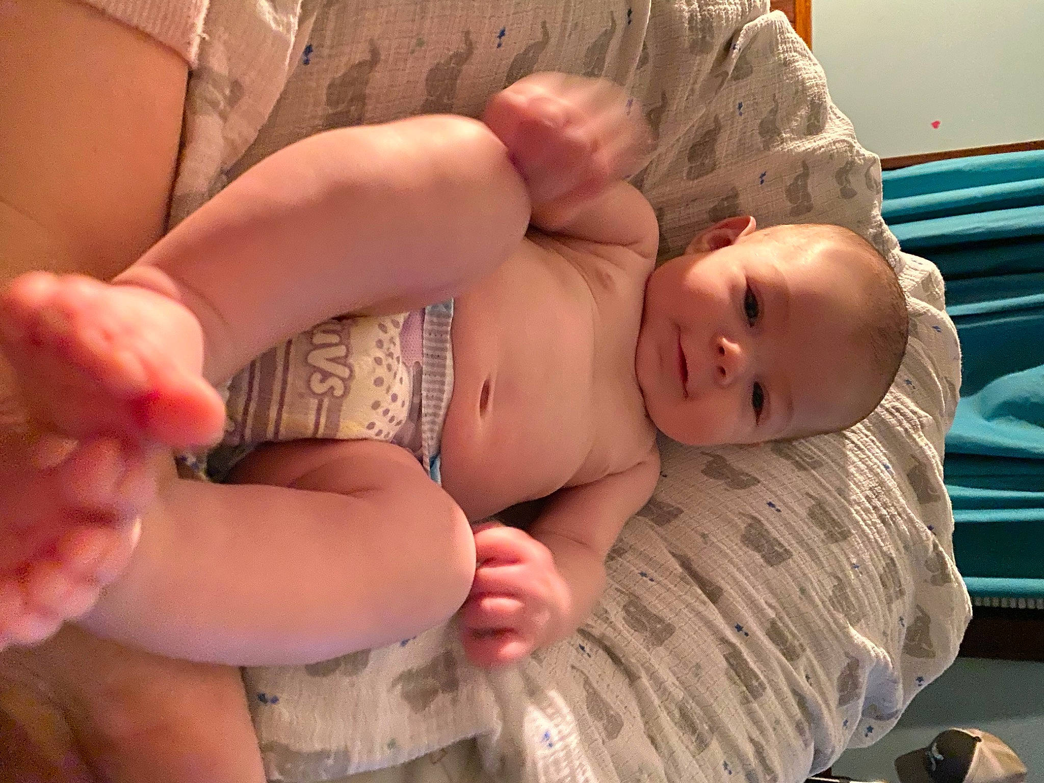 Apollo joined the competition — help win amazing prizes! abdomen, baby, chest, comfort, diaper, eye, finger, gesture, glasses, hand, human_body, joint, leg, mouth, muscle, person, skin, stomach, thigh, thumb