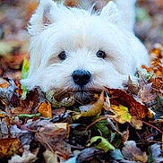 DENIZOT participe au concours pour gagner de l'argent avec cette photo :