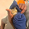 Lilo Smith is registered to the contest to win money with this photo: kitten, cat, sleeping, hands, blue_cloth, wrapped, cozy, person, casual_clothing, indoor, cute, resting, small_pet, tender, warm_lighting, peaceful, brown_skin, shorts, human, animal