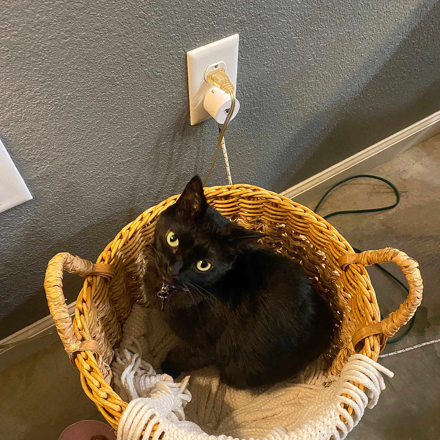 Luna