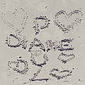 Diane C.