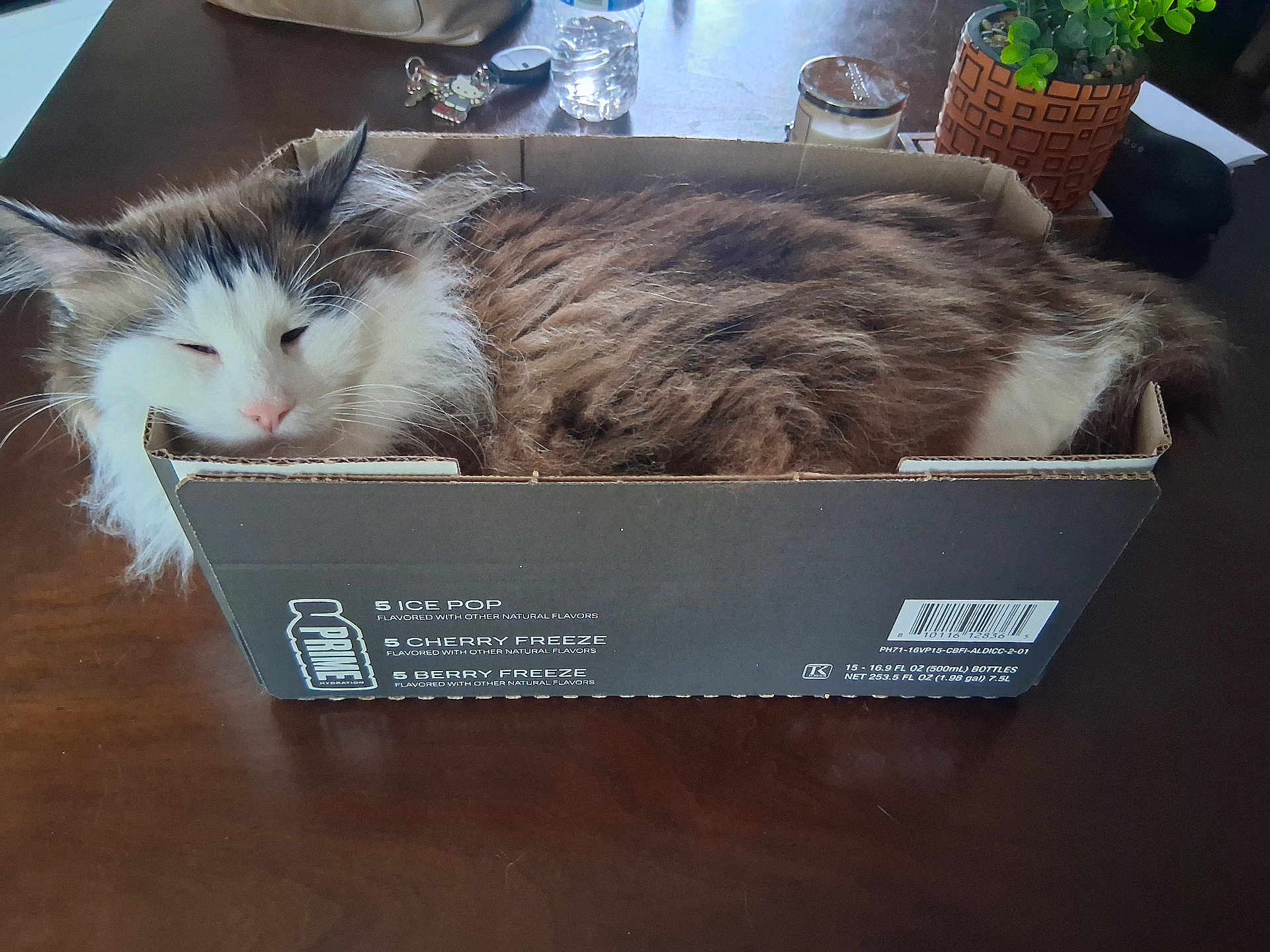 Einstein