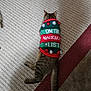 animal, cat, christmas, clothing, cozy, cute, domestic, festive, floor, green, holiday, indoor, lying_down, pet, red, rug, striped, sweater, tabby, tail