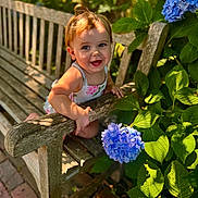 Olivia is registered to the contest to win money with this photo: toddler, child, bench, wood, flower, hydrangea, blue_flower, green_leaves, outdoor, sunlight, smile, happy, nature, garden, portrait, baby, summer, daylight, cute, person
