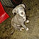 Oliver