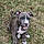 Buster