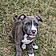 Buster