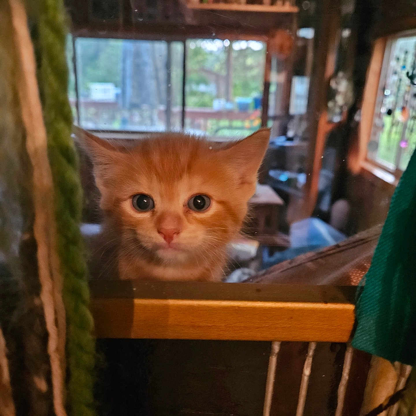 Meatball