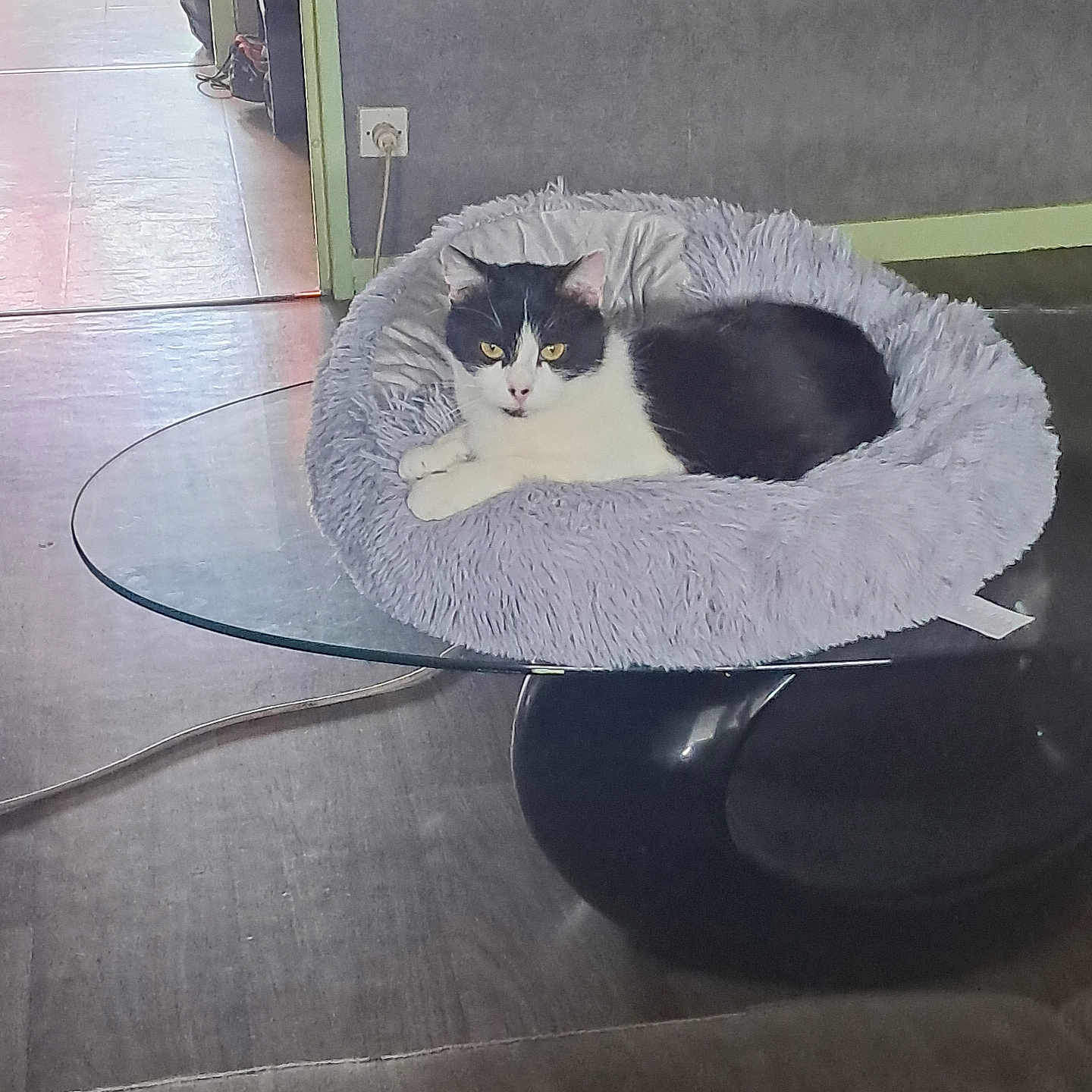 Nala