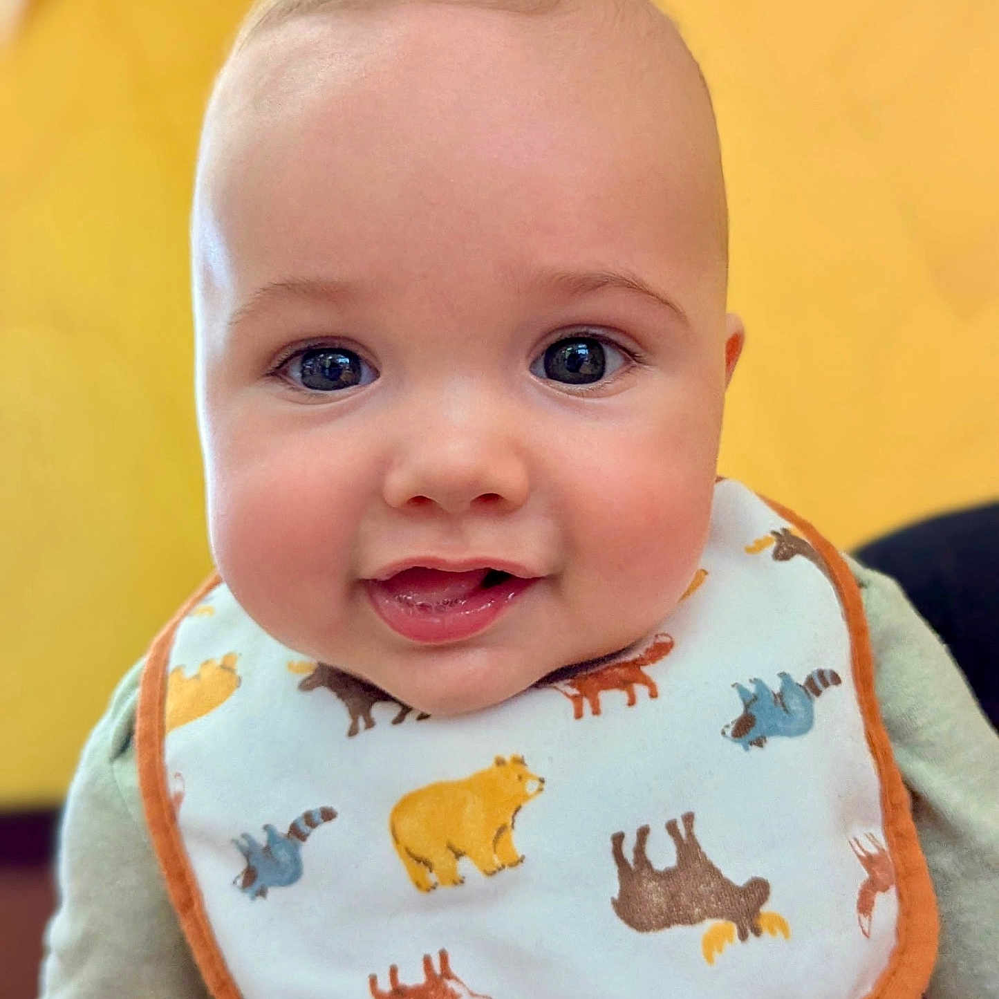 Crue joined the competition — help win amazing prizes! animal_print, apparel, baby, bib, cheeks, child, closeup, clothing, cute, eyes, face, happy, head, infant, mouth, person, portrait, smile, yellow_background, young_child
