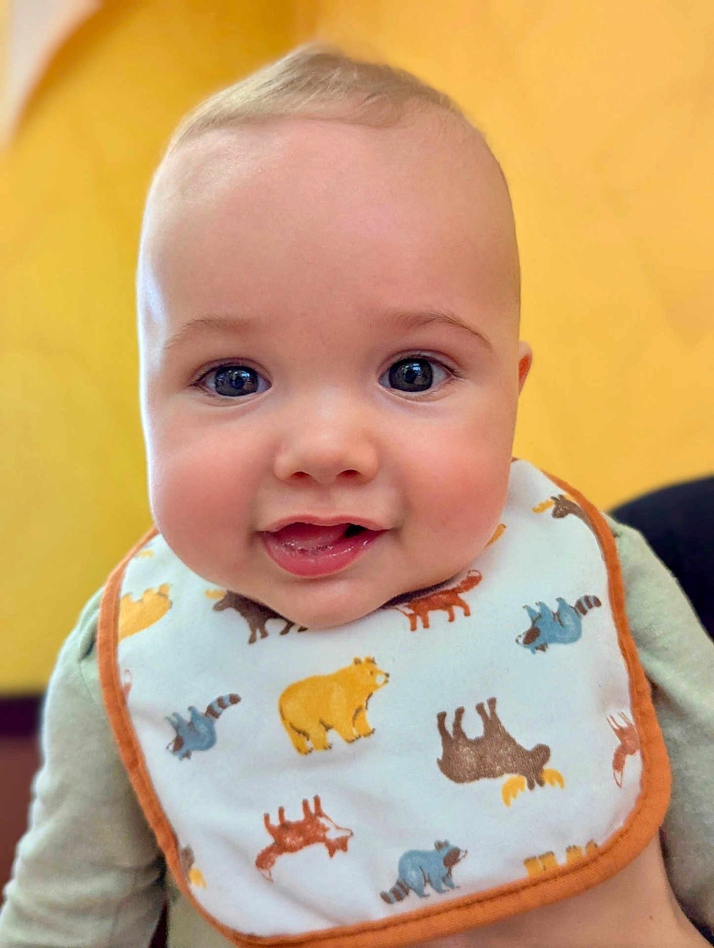 Crue joined the competition — help win amazing prizes! baby, child, face, smile, bib, animal_print, closeup, cute, infant, portrait, apparel, yellow_background, happy, young_child, head, cheeks, eyes, mouth, clothing, person
