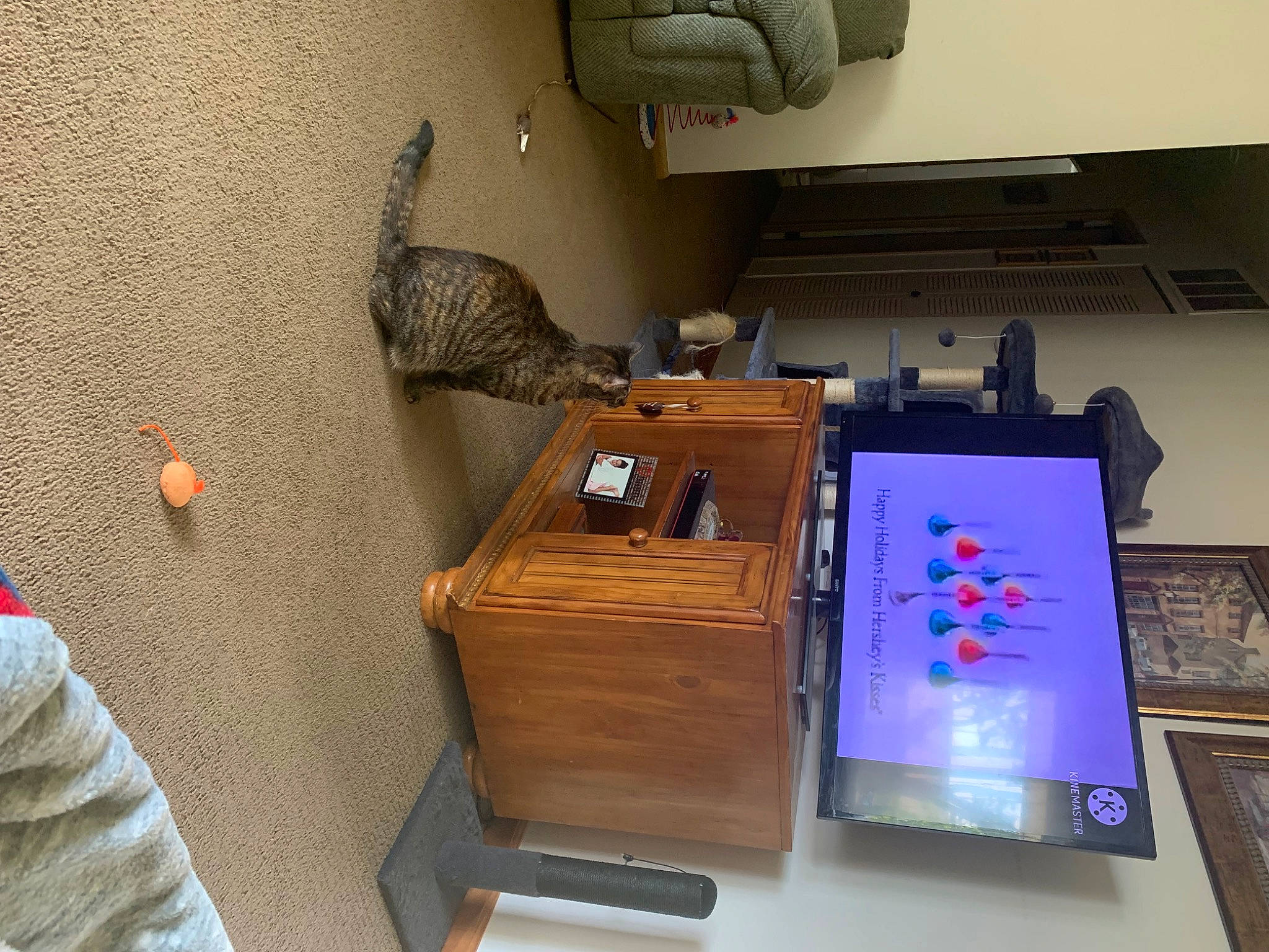 Phoebe is registered to the contest to win money with this photo: art, computer, computer_desk, computer_monitor_accessory, desk, desktop_computer, display_device, flooring, gadget, hardwood, machine, office_supplies, output_device, personal_computer, room, shelf, shelving, table, toy, wood