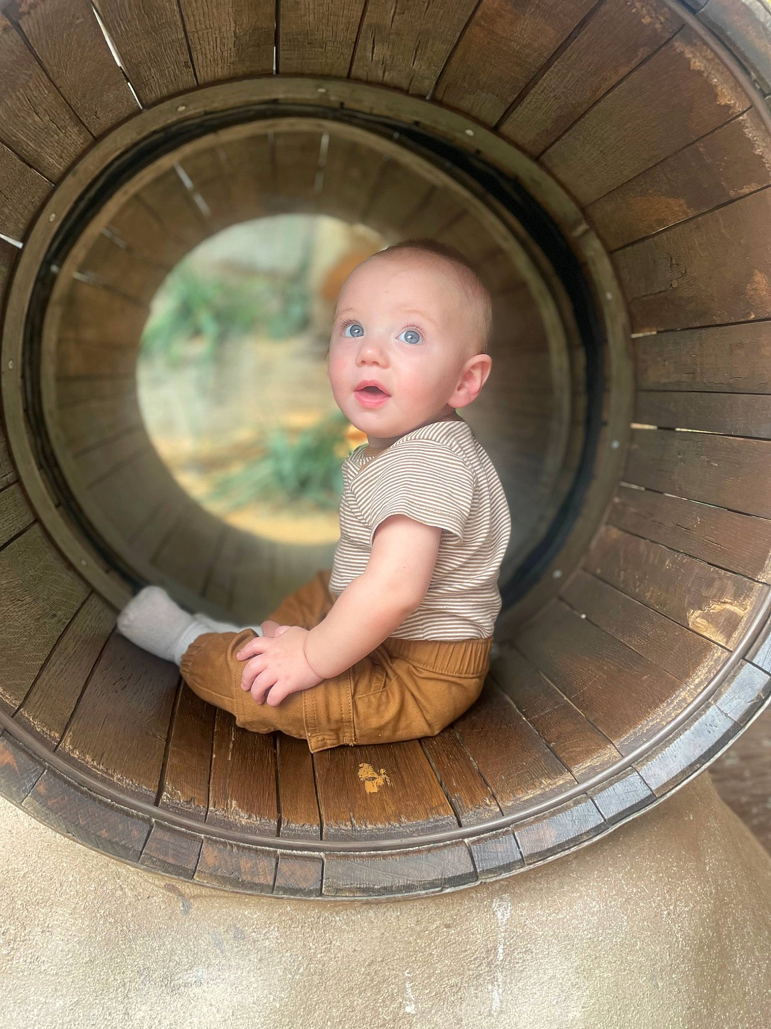Caysen is registered to the contest to win money with this photo: auto_part, automotive_tire, automotive_wheel_system, baby, baby_products, baby_toddler_clothing, child, circle, dress, eye, face, fun, person, plant, product, sitting, surprise, tints_and_shades, toddler, tree