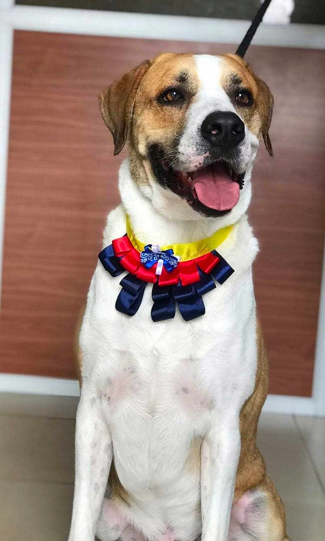 Leo
