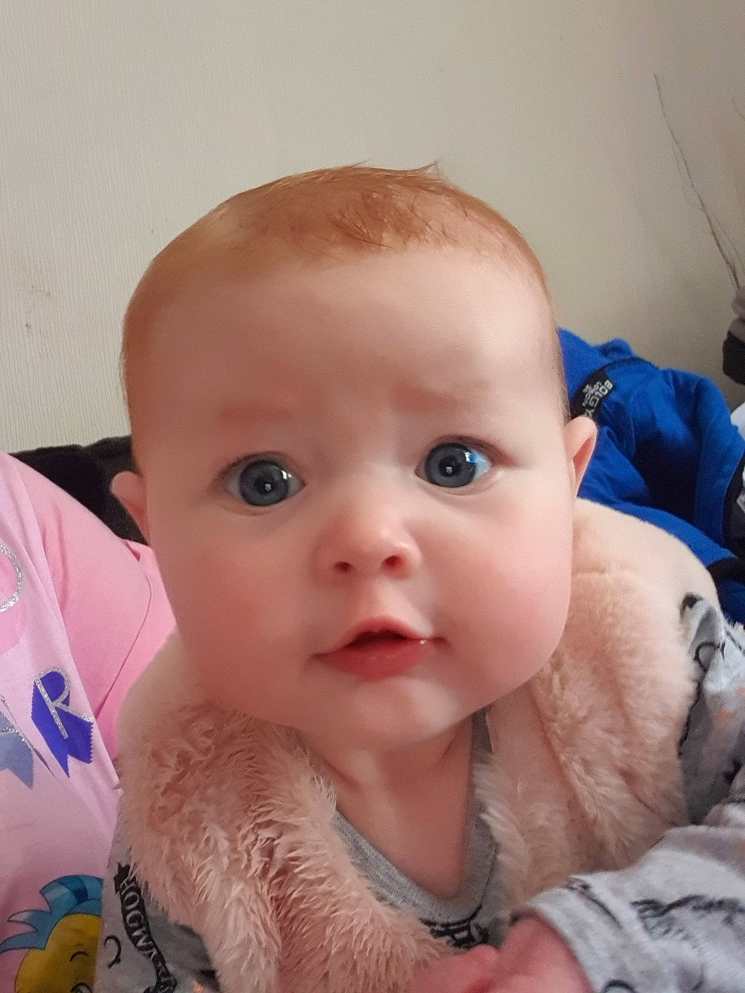 Isabella-rose is registered to the contest to win money with this photo: baby, cheek, child, chin, ear, eye, eyebrow, face, forehead, head, iris, lip, mouth, nose, person, skin, toddler