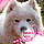 Florence Mogis