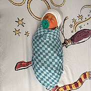 Weston is registered to the contest to win money with this photo: baby, blanket, broomstick, checkered_pattern, child, cozy, cute, hat, illustration, infant, newborn, pacifier, portrait, resting, rings, scarf, sleeping, stars, swaddle, whimsical