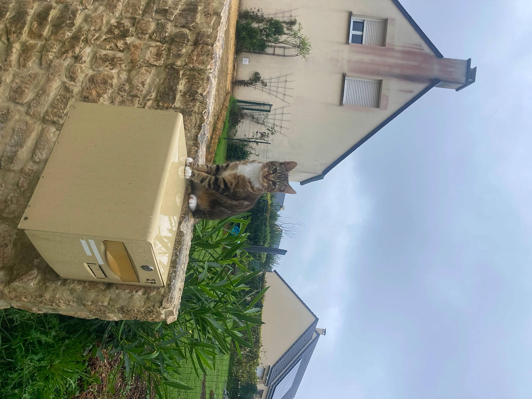 Flash Macqueen participe au concours pour gagner de l'argent avec cette photo : apartment, art, building, cloud, facade, grass, home, house, landscape, plant, real_estate, rectangle, roof, room, sky, suburb, tree, urban_design, window, wood