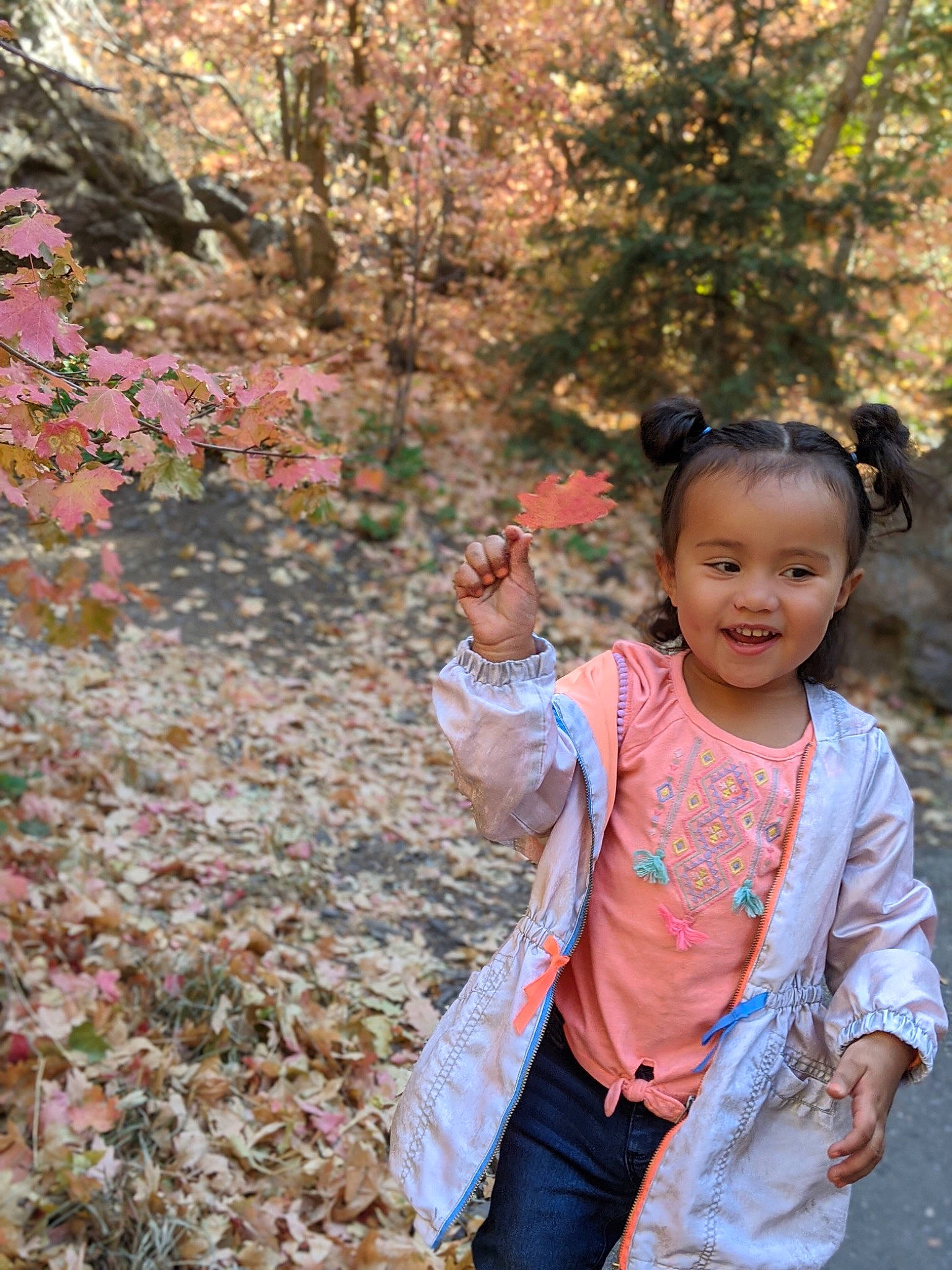 Sandra joined the competition — help win amazing prizes! baby_toddler_clothing, botany, child, deciduous, forest, fun, grass, happy, joy, leisure, necklace, people_in_nature, person, plant, recreation, sitting, smile, soil, toddler, travel