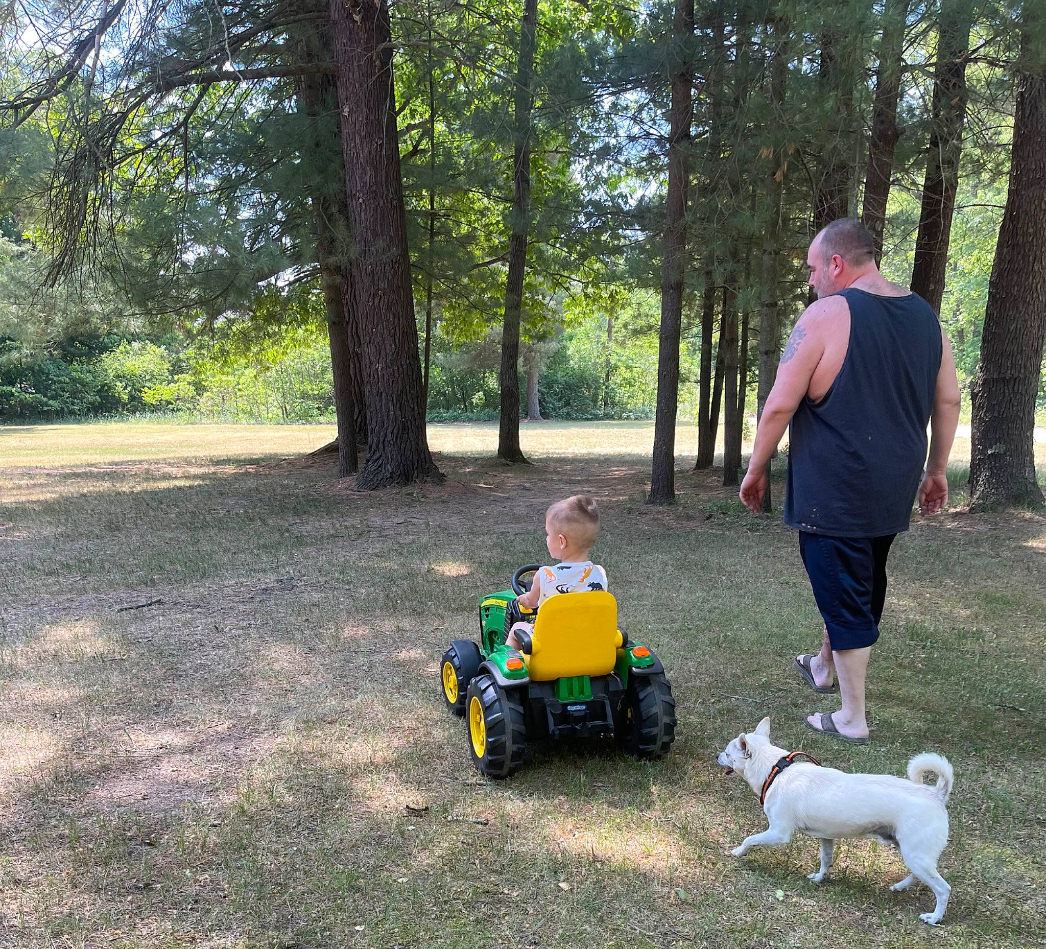 Graysyn joined the competition — help win amazing prizes! carnivore, companion_dog, dog, fun, grass, lawn, leisure, motor_vehicle, people_in_nature, person, plant, play, recreation, soil, tire, toddler, toy, tree, vehicle, wheel