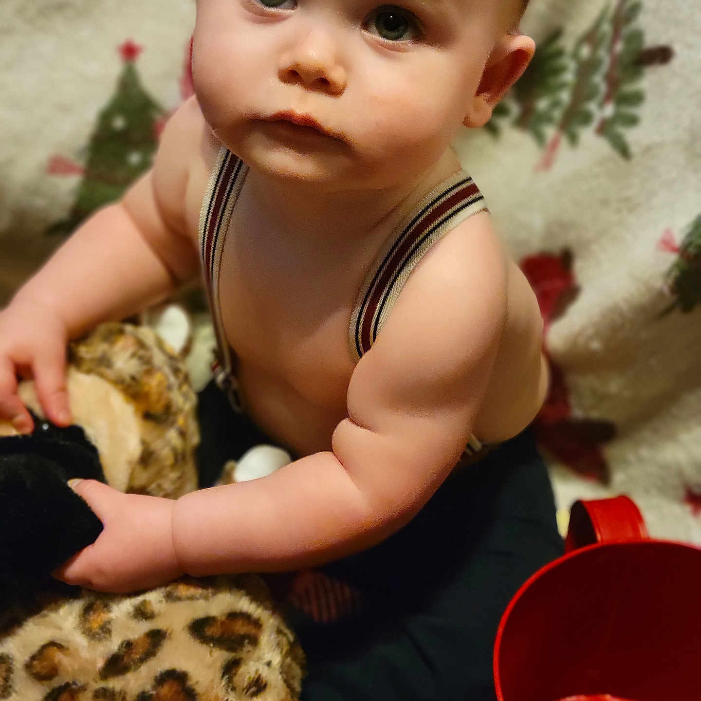 Micheal is registered to the contest to win money with this photo: baby, child, face, eyes, expression, suspenders, plush_toy, leopard_print, blanket, indoor, red_cup, curious, closeup, skin, hand, infant, portrait, person, young_child, cute