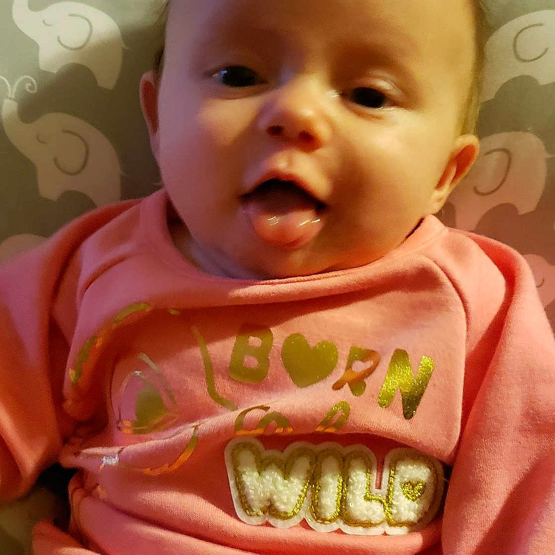 Cora