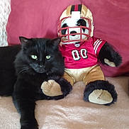 Buffy joined the competition — help win amazing prizes! black_cat, plush_toy, football_uniform, couch, red_pillow, beige_blanket, indoor, pet, stuffed_animal, relaxed, feline, soft_fabric, home, animal, toy, seated, cozy, fur, domestic_cat, companion