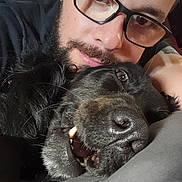 Milka a rejoint le concours — aidez-le/la à gagner de superbes lots ! affection, animal, beard, black_dog, canine, close_up, cuddle, dog, face, friendship, glasses, happy, human, indoor, love, man, pet, portrait, resting, smile