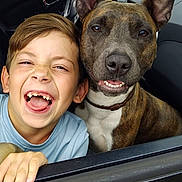Nikita a rejoint le concours — aidez-le/la à gagner de superbes lots ! boy, child, dog, pet, smiling, happy, car, window, friendship, portrait, cute, tongue_out, ears_up, collar, brindle, inside, playful, leisure, joy, companion