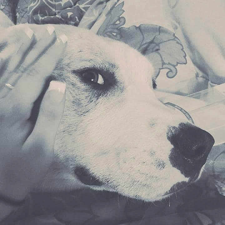 Casper