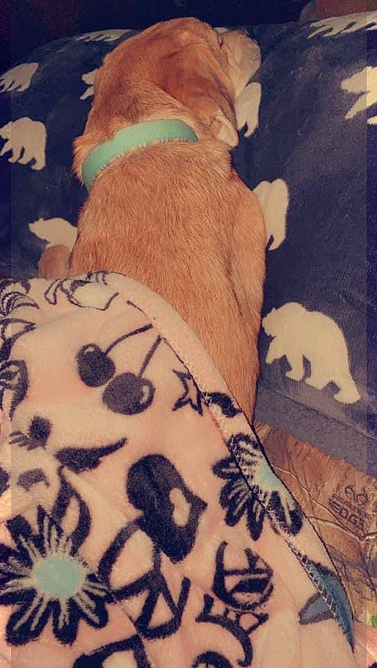 Malena joined the competition — help win amazing prizes! beauty, companion_dog, dog, fawn, flesh, foot, fur, human_leg, knee, linens, pattern, peach, sleeve, tail, tattoo, temporary_tattoo, thigh, tints_and_shades, visual_arts, wrist