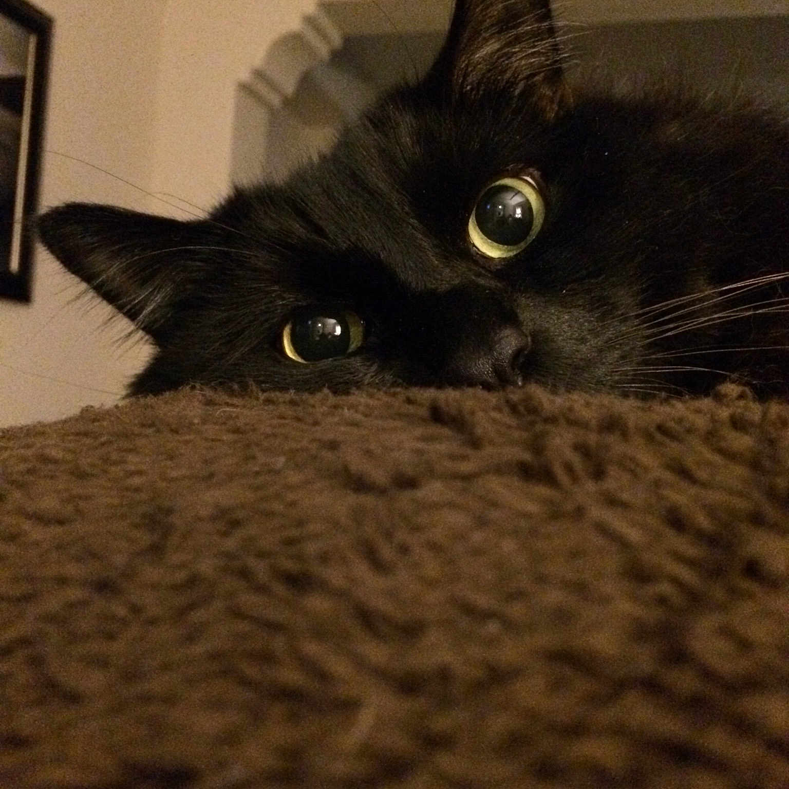 Binka