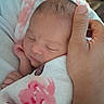 Oaklee is registered to the contest to win money with this photo: newborn, baby, infant, sleeping, hand, blanket, floral, wrapped, closeup, skin, peaceful, resting, soft, cute, tender, care, comfort, portrait, person, indoors