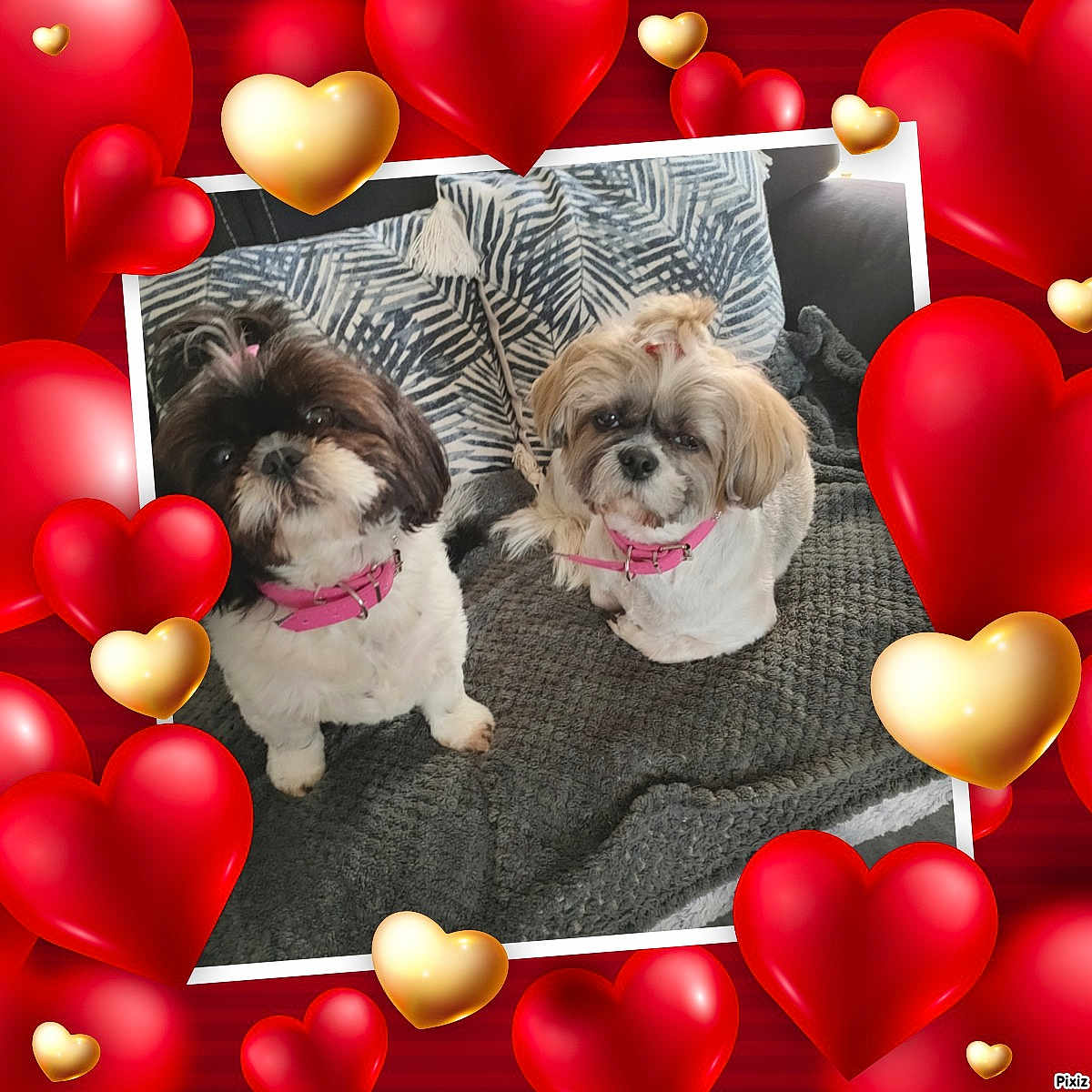 Lily Et Capucine